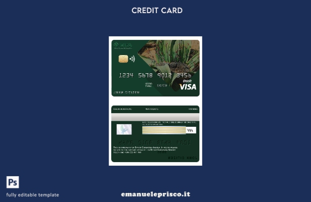stile verificato Modello di carta visto per banca commerciale dell'Angola